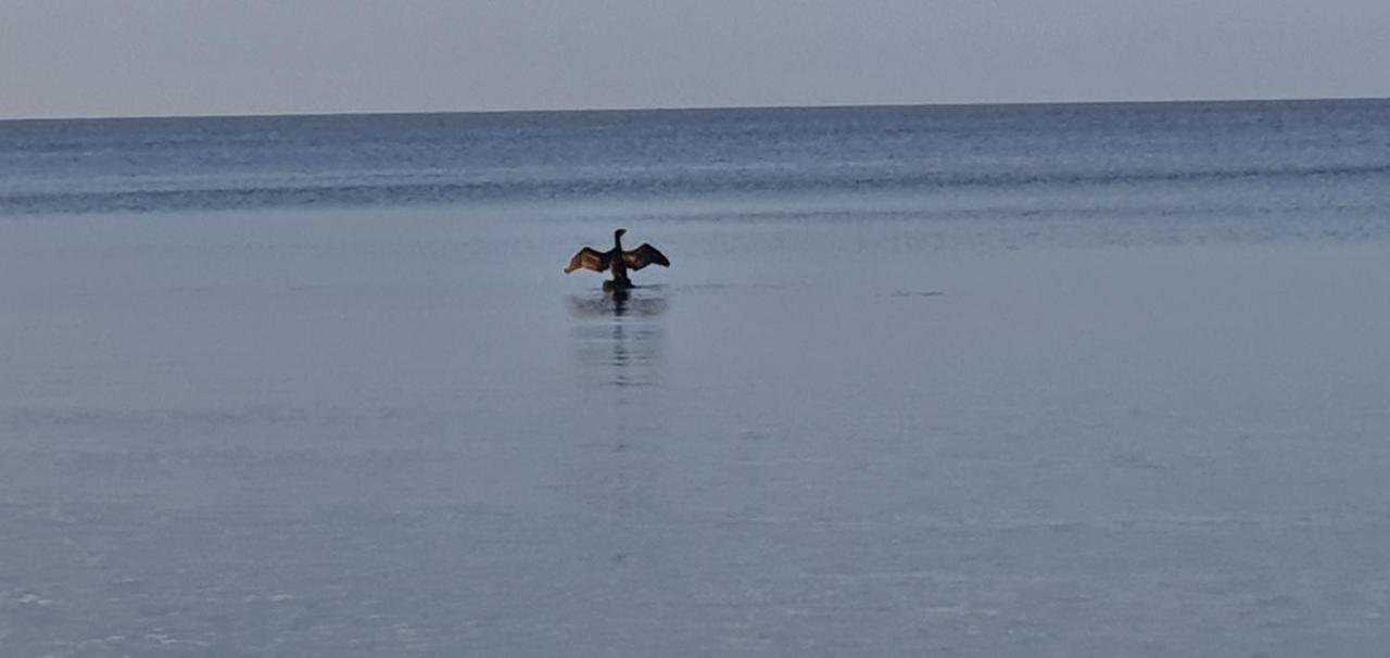 W Kolobrzegu Przy Promenadzie